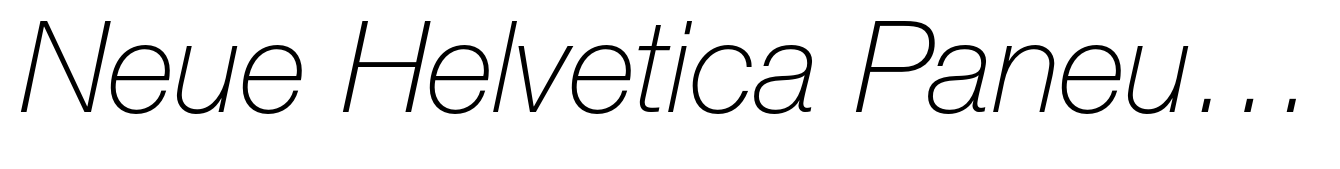Neue Helvetica Paneuropean 36 Thin Italic
